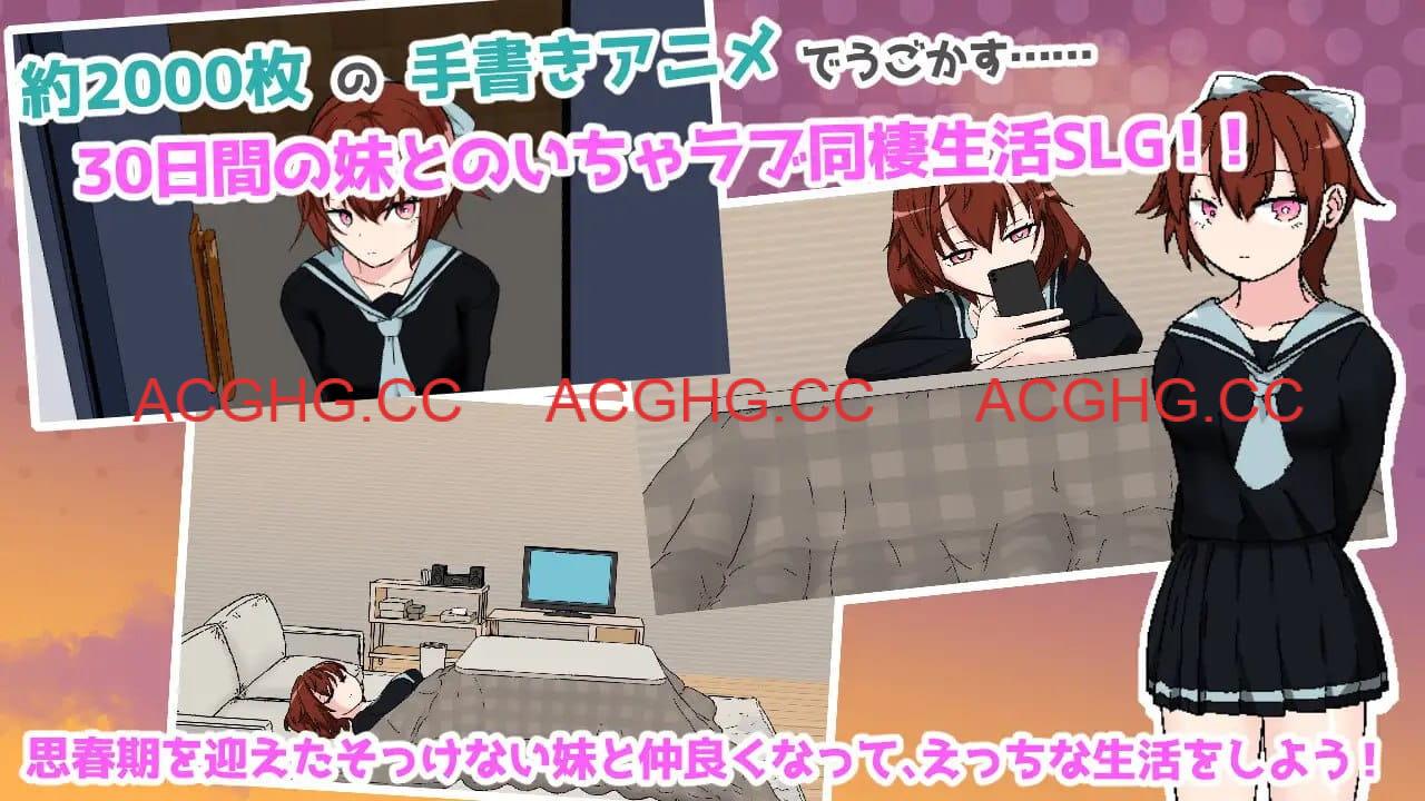 【SLG/AI汉化/MTool】与青春期妹妹的色情30天v1.0.0【PC/5G】